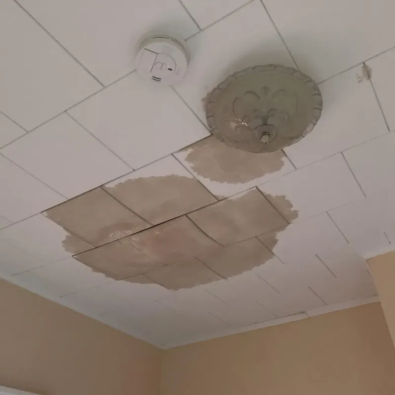 Ceiling Water Damage Repair in Morrisville, VT