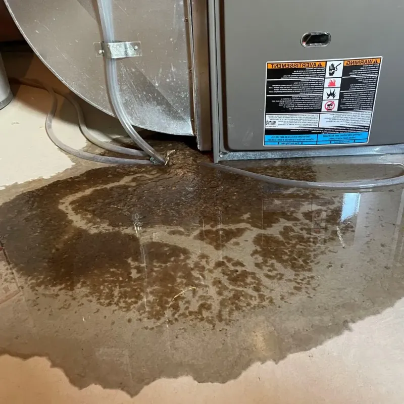 Pipe Burst and Leak Restoration in Morrisville, VT