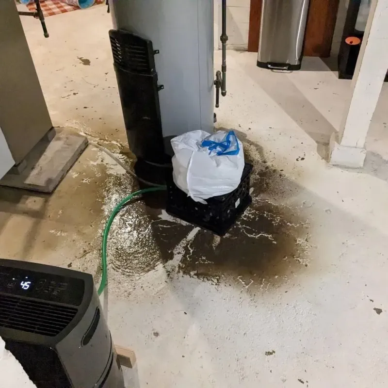 Sewage Backup Cleanup Service in Morrisville, VT